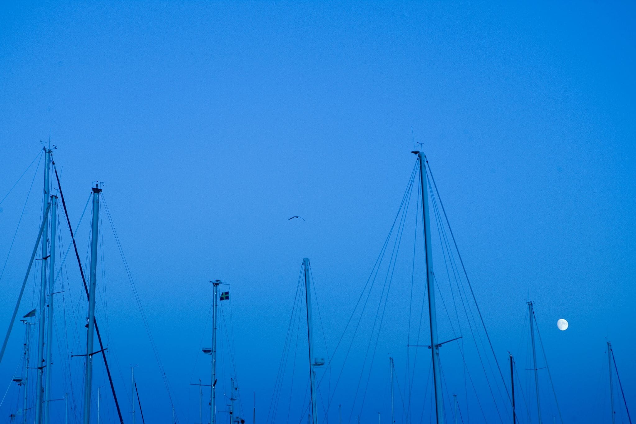 Stockholm masts at dusk